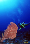 32060007_G.jpg