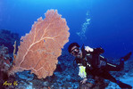 32060009_G.jpg