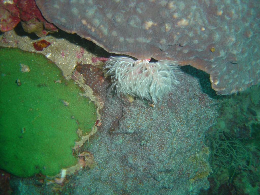 點選圖片以觀看原圖