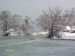 L1180636s.jpg