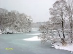 L1180658s.jpg