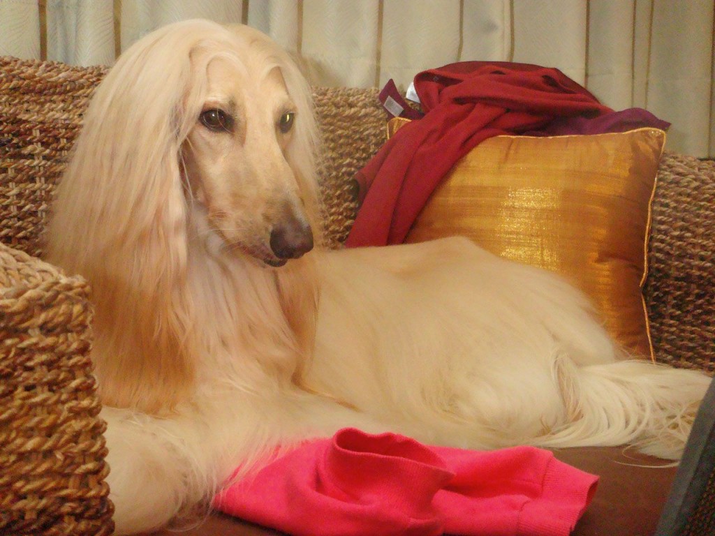 點選圖片以觀看原圖