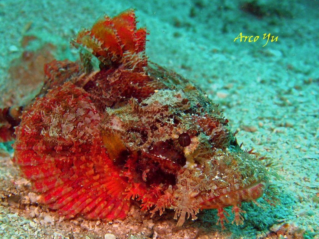 點選圖片以觀看原圖