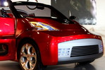 IMG_6651__.JPG
