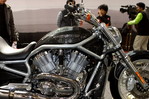 IMG_6786__.JPG