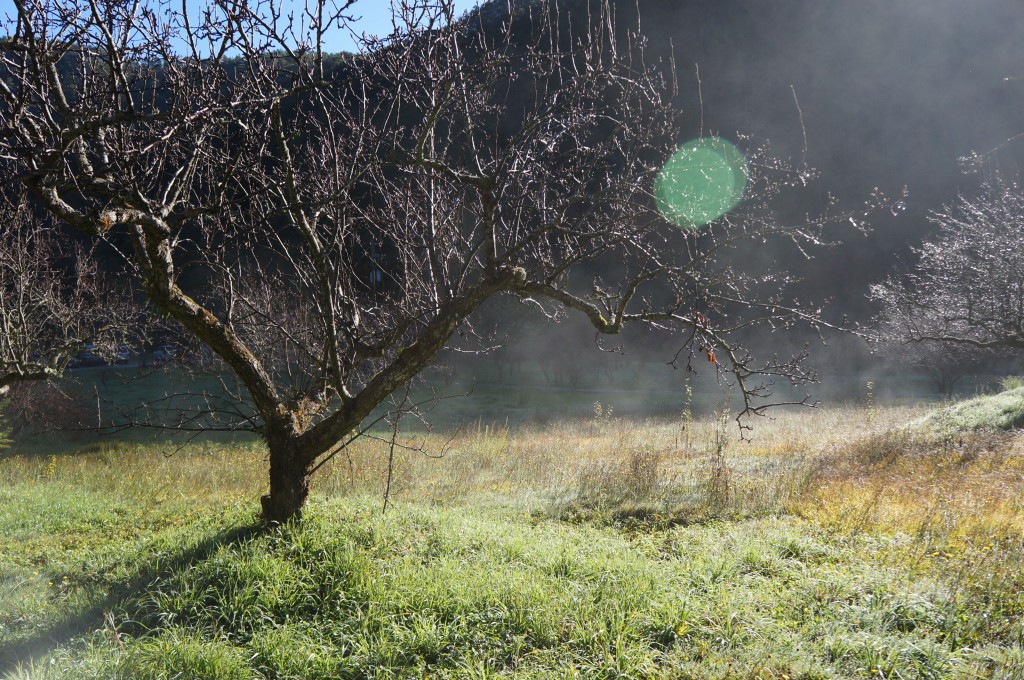 點選圖片以觀看原圖