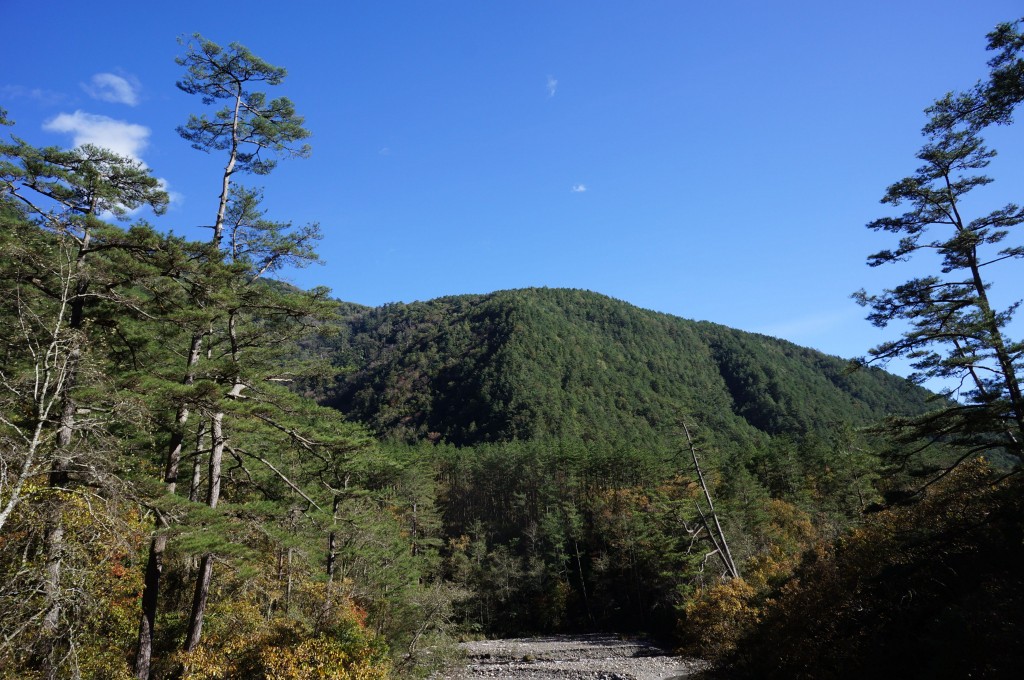 點選圖片以觀看原圖