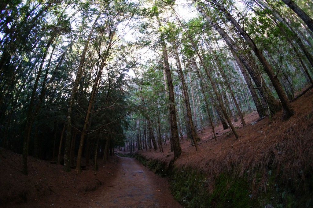 點選圖片以觀看原圖