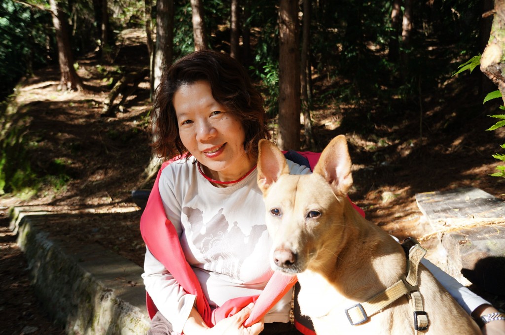 點選圖片以觀看原圖