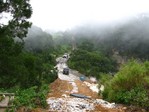 IMG_0122.JPG