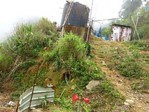 IMG_0124.JPG