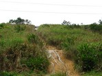 IMG_0145.JPG