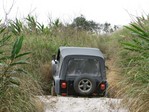 IMG_0150.JPG