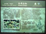 檔案名稱=DSC02339.JPG
檔案大小=119KB
圖片尺寸=800x600
加入日期=七月 05, 2010 DSC02339.JPG