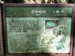 DSC02613.JPG