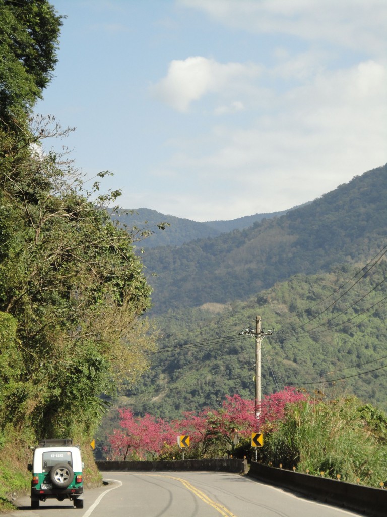 點選圖片以觀看原圖