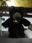 DSC00263.JPG