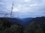 DSC00275.JPG