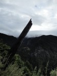 DSC00299.JPG