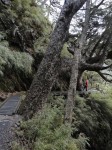 DSC00302.JPG