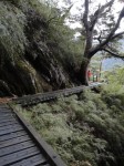 DSC00303.JPG