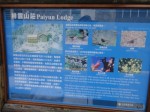 DSC00343.JPG