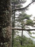 DSC00493.JPG