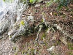 DSC00498.JPG