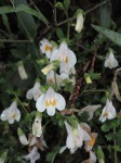 DSC00546.JPG