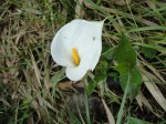 DSC00547.JPG