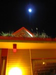 IMG_7786.JPG