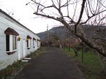 IMG_7799.JPG