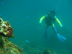 070804Diving03.JPG