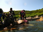 070804Diving30.JPG