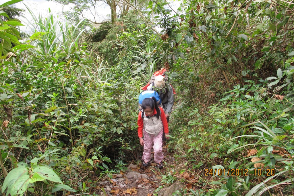 點選圖片以觀看原圖