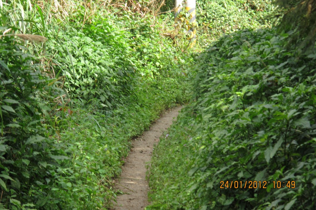 點選圖片以觀看原圖