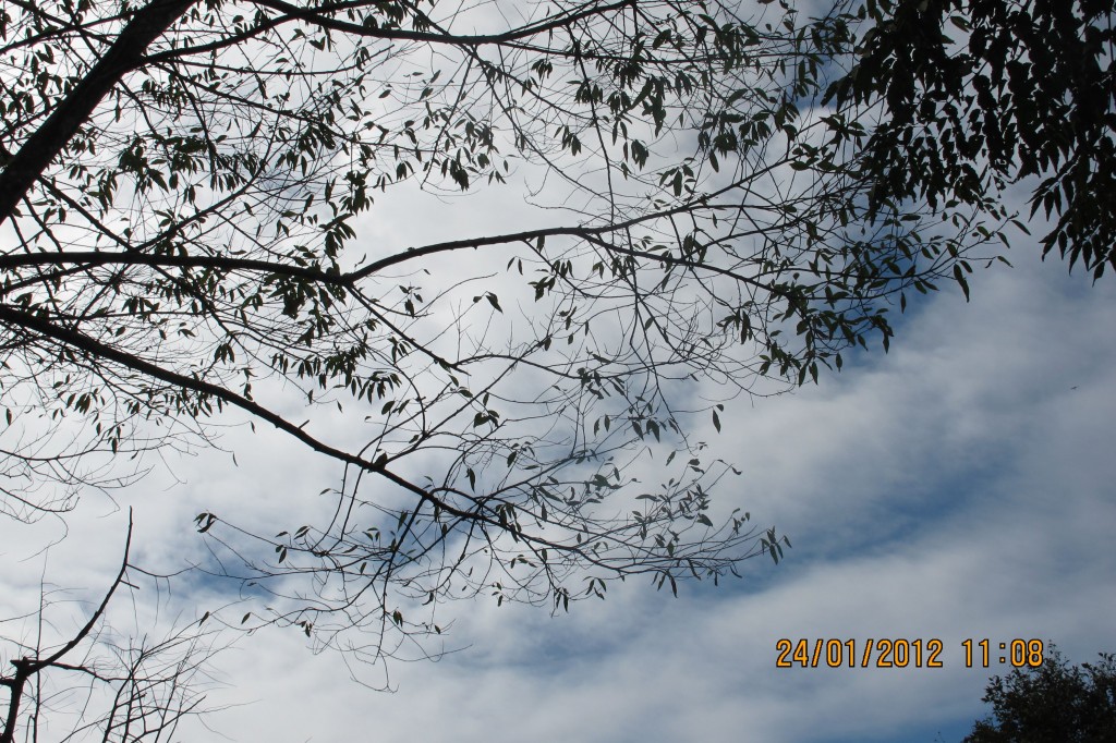 點選圖片以觀看原圖