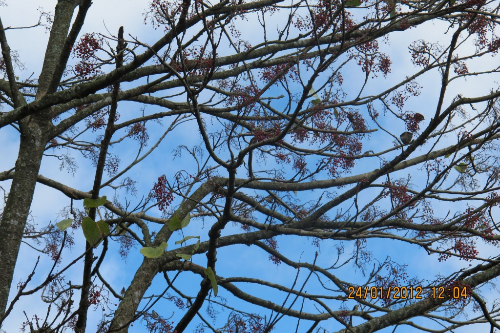 點選圖片以觀看原圖