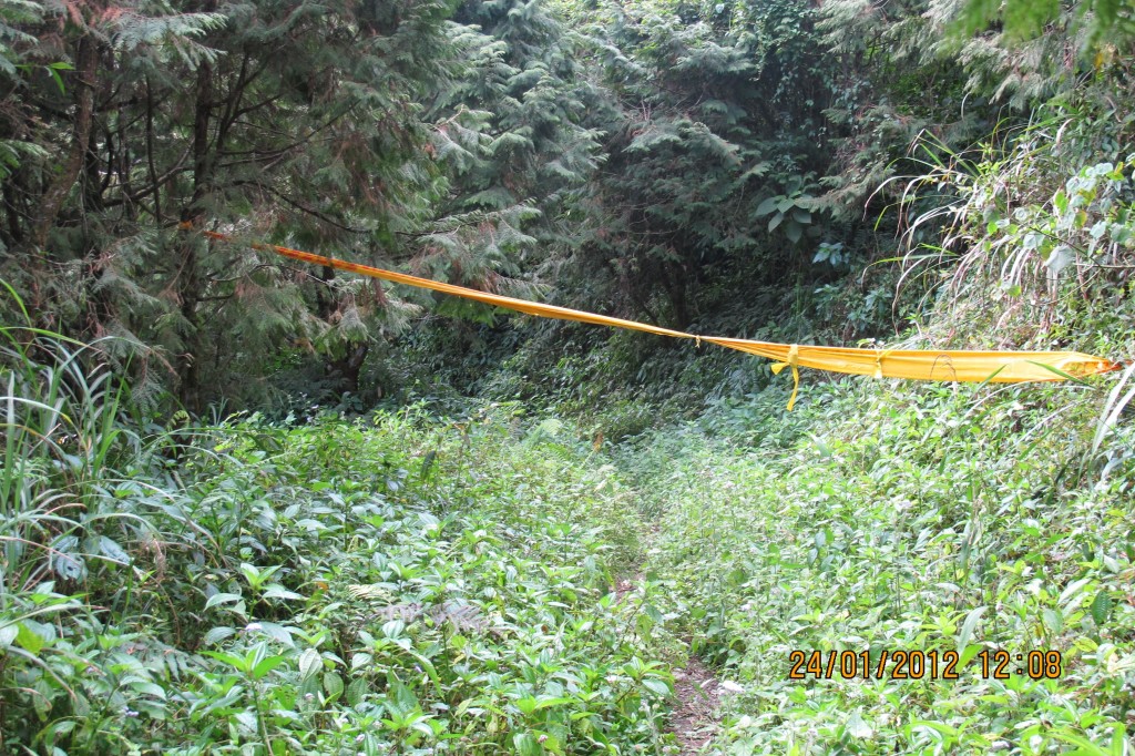 點選圖片以觀看原圖