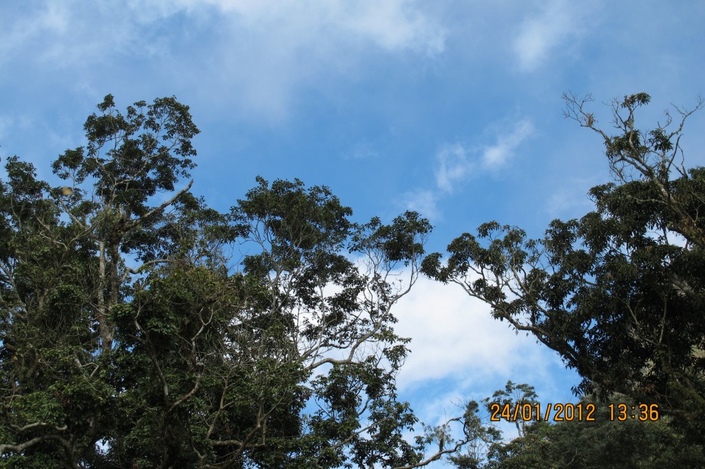 點選圖片以觀看原圖