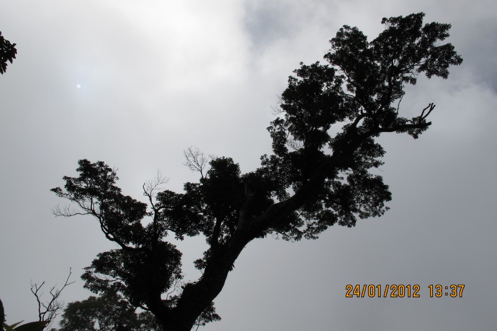 點選圖片以觀看原圖