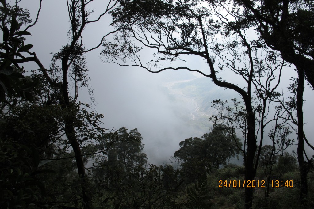 點選圖片以觀看原圖