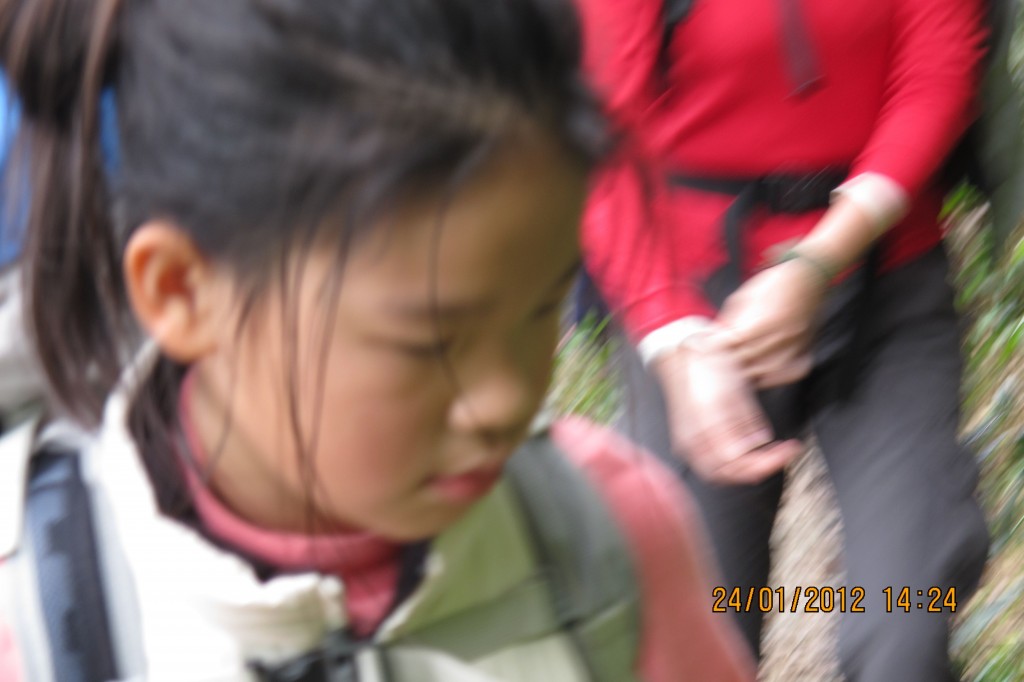 點選圖片以觀看原圖