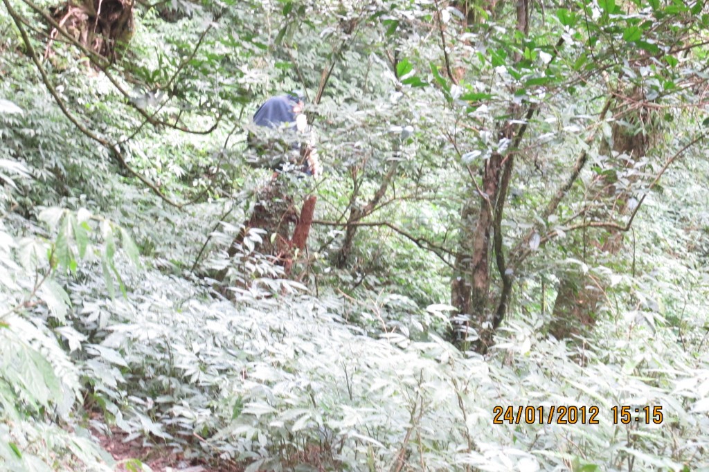 點選圖片以觀看原圖