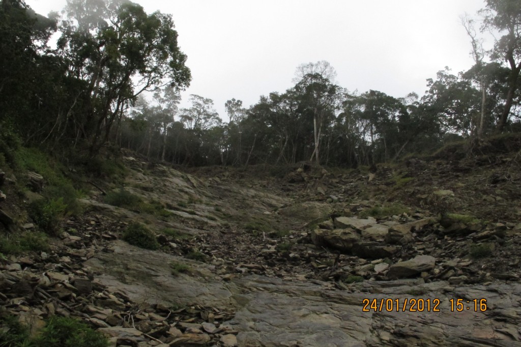 點選圖片以觀看原圖