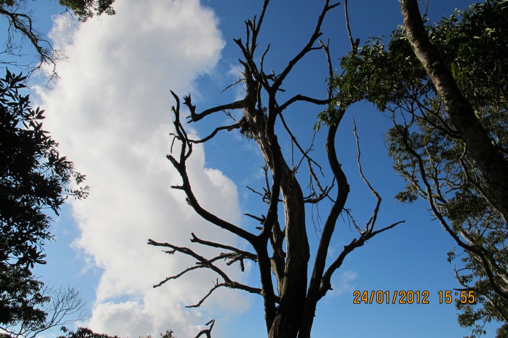 點選圖片以觀看原圖