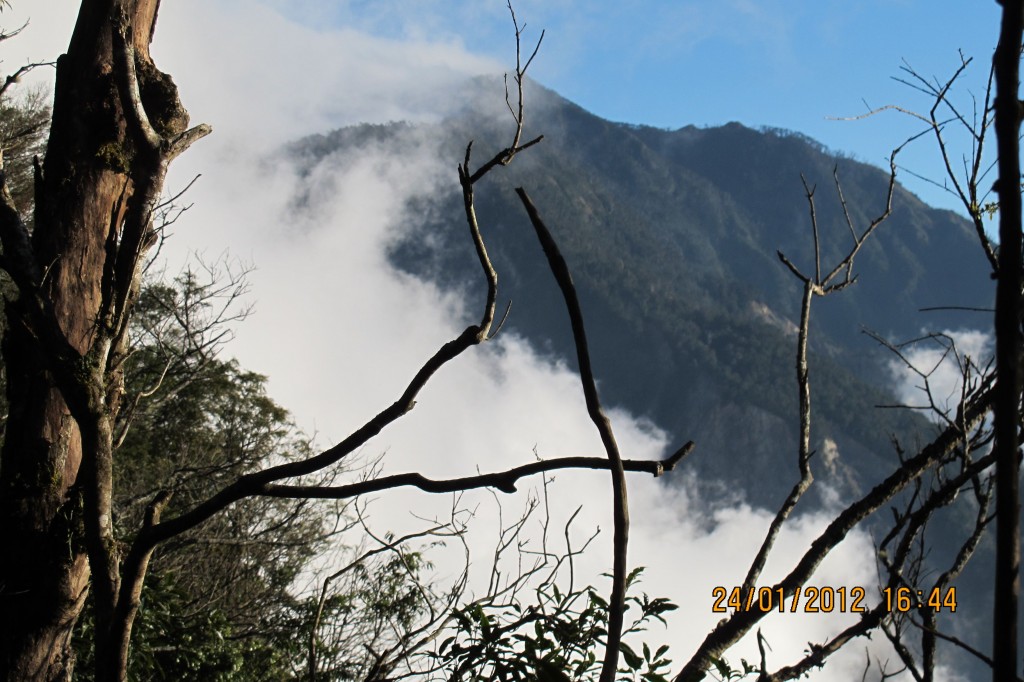 點選圖片以觀看原圖