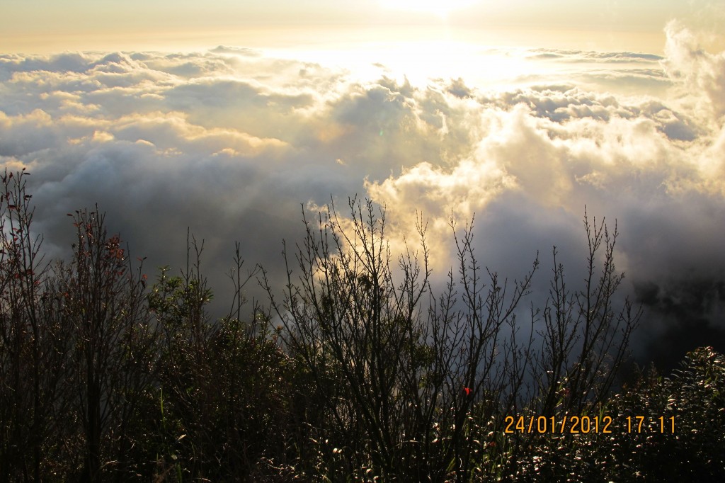 點選圖片以觀看原圖