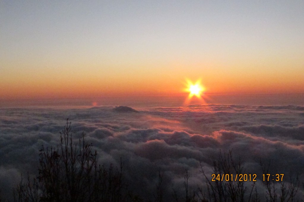 點選圖片以觀看原圖