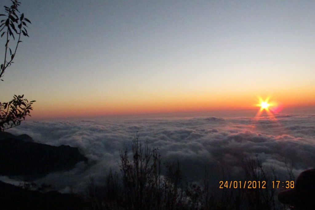 點選圖片以觀看原圖